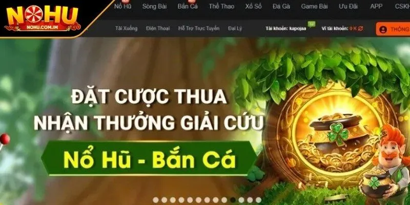 Quy định về điều khoản miễn trừ trách nhiệm tại web